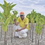 Arjunan Elayaraja