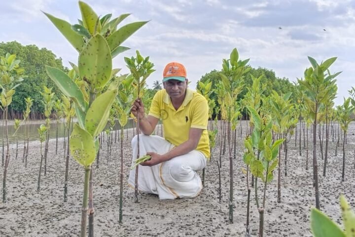 Arjunan Elayaraja