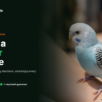 Nearby Pets India
