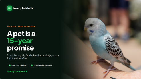 Nearby Pets India